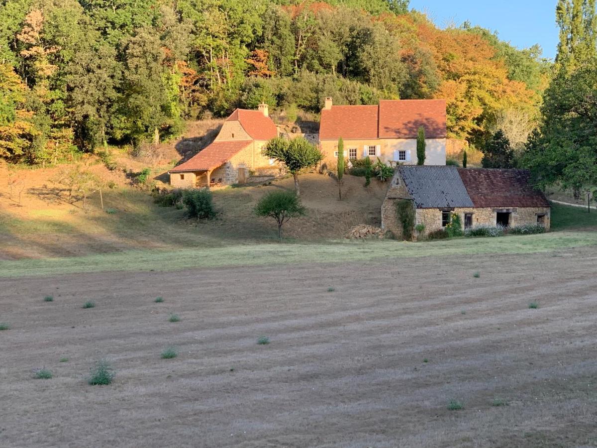 Gite Chez Le Gaulois Carsac-Aillac Dış mekan fotoğraf