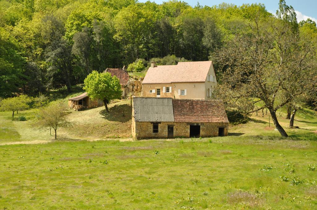 Gite Chez Le Gaulois Carsac-Aillac Dış mekan fotoğraf