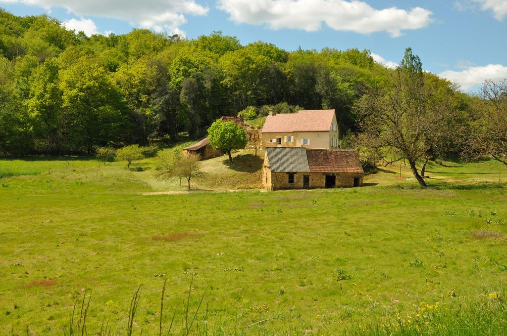 Gite Chez Le Gaulois Carsac-Aillac Dış mekan fotoğraf